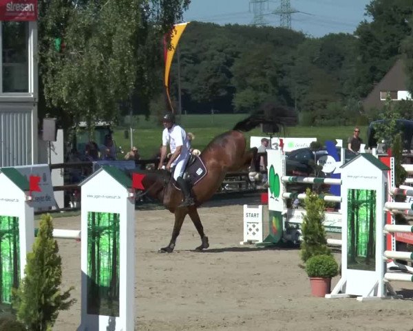 Reitturnier Kirchhellen/Stall Dieckmann 2017