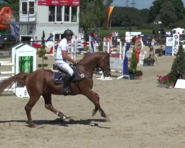 Reitturnier Kirchhellen/Stall Dieckmann 2017