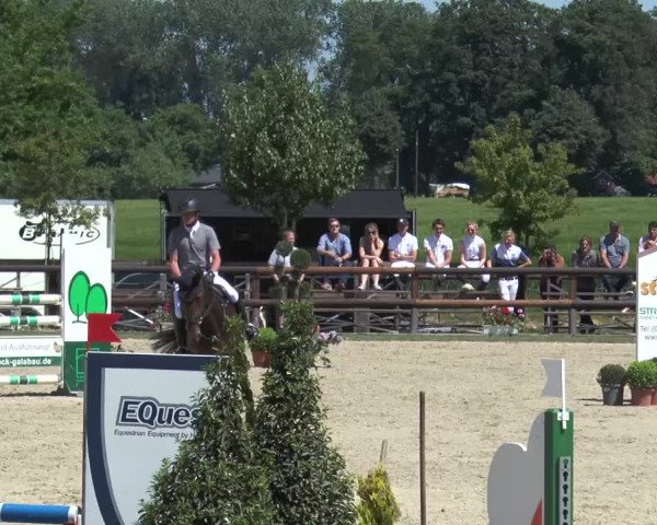 Reitturnier Kirchhellen/Stall Dieckmann 2017