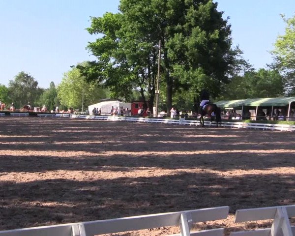 Reitturnier Hamm-Rhynern 2017