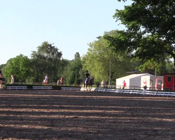 Reitturnier Hamm-Rhynern 2017