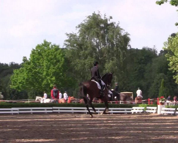 Reitturnier Hamm-Rhynern 2017