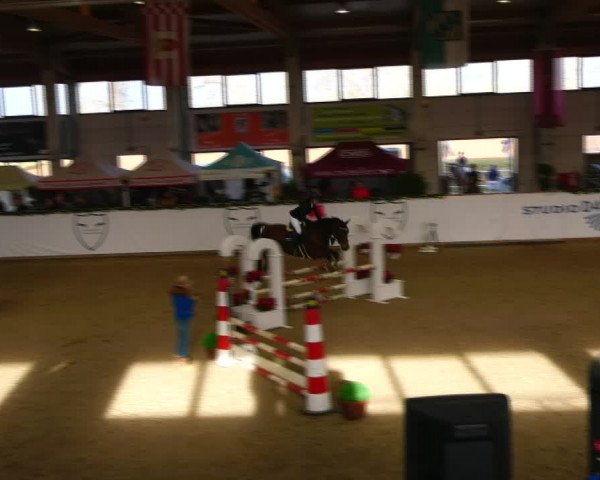 Christmas Jumping Trophy Prussendorf 2021