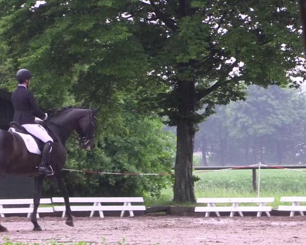 Reitturnier Hamm-Rhynern 2017