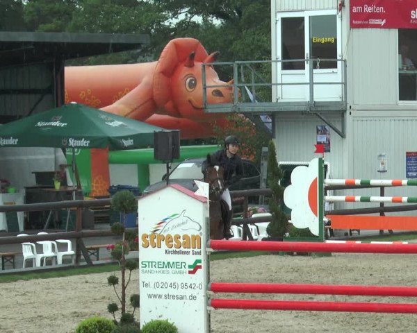 Reitturnier Kirchhellen/Stall Dieckmann 2017