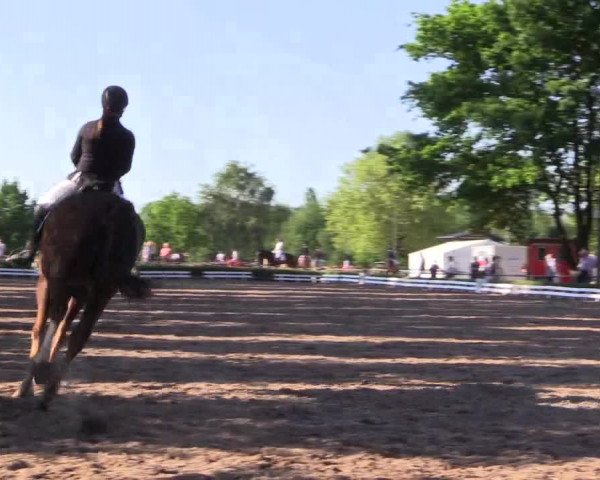 Reitturnier Hamm-Rhynern 2017