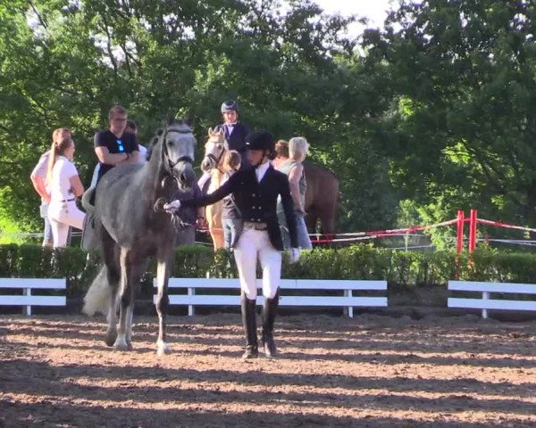 Reitturnier Hamm-Rhynern 2017