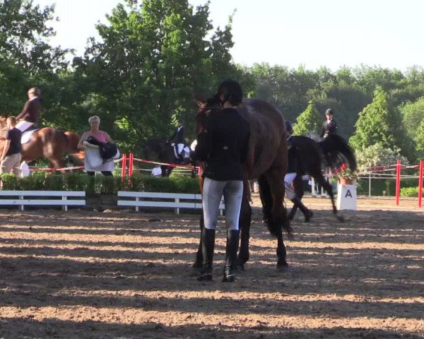 Reitturnier Hamm-Rhynern 2017