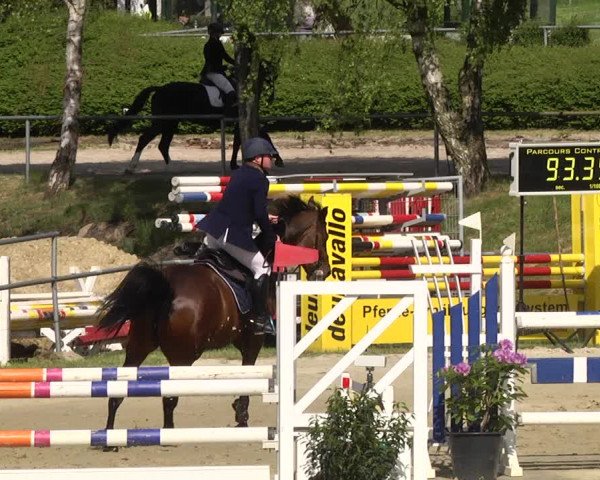 Reitturnier Kurtscheid 2017