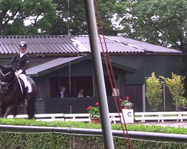 Reitturnier Hamm-Rhynern 2017