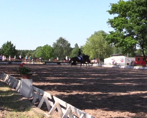Reitturnier Hamm-Rhynern 2017