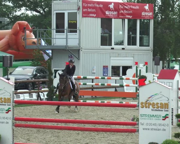 Reitturnier Kirchhellen/Stall Dieckmann 2017