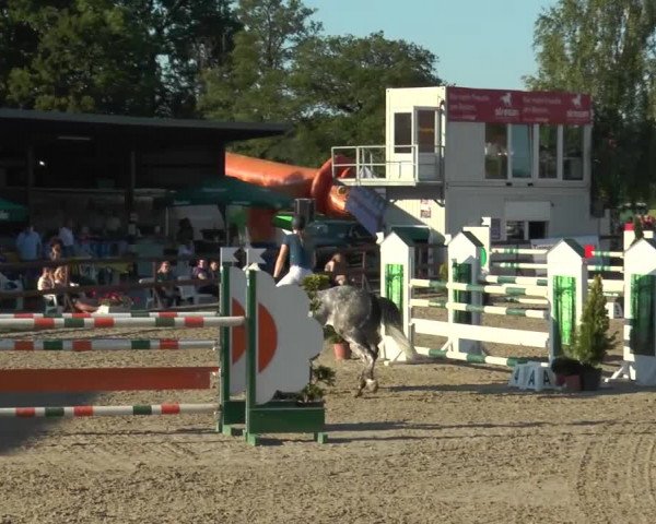 Reitturnier Kirchhellen/Stall Dieckmann 2017