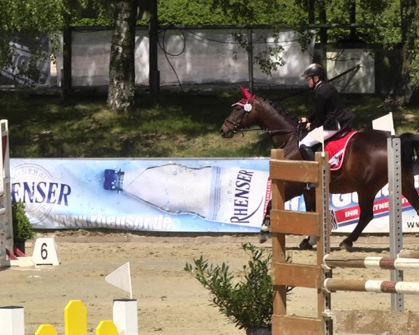 Reitturnier Kurtscheid 2017
