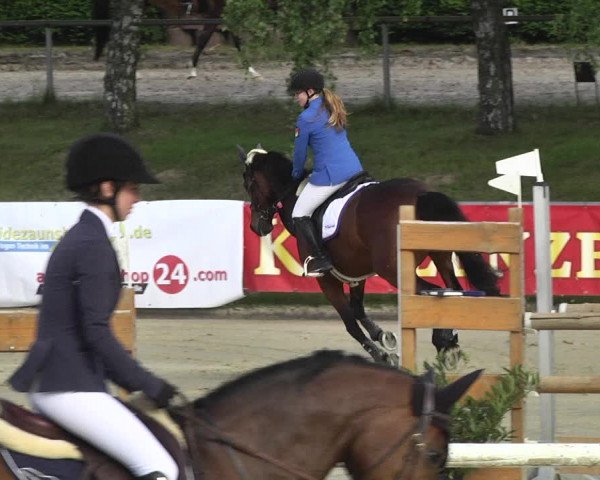 Reitturnier Kurtscheid 2017