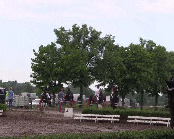 Reitturnier Hamm-Rhynern 2017