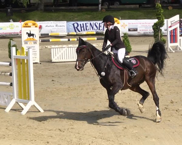 Reitturnier Kurtscheid 2017