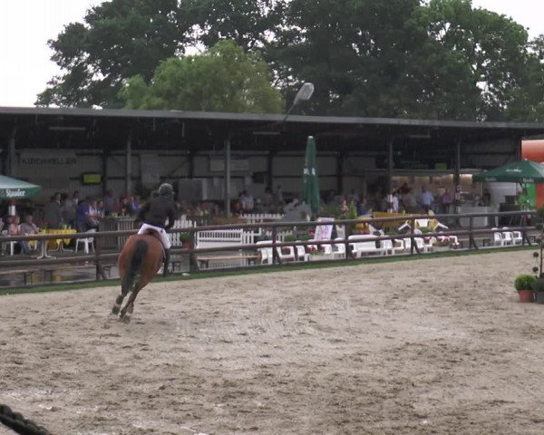 Reitturnier Kirchhellen/Stall Dieckmann 2017