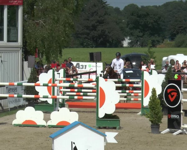 Reitturnier Kirchhellen/Stall Dieckmann 2017