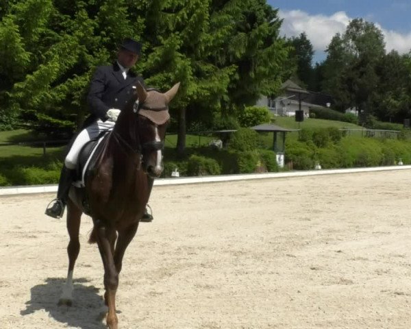 Reitturnier Kurtscheid 2017