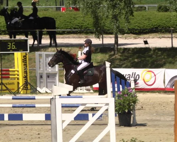 Reitturnier Kurtscheid 2017