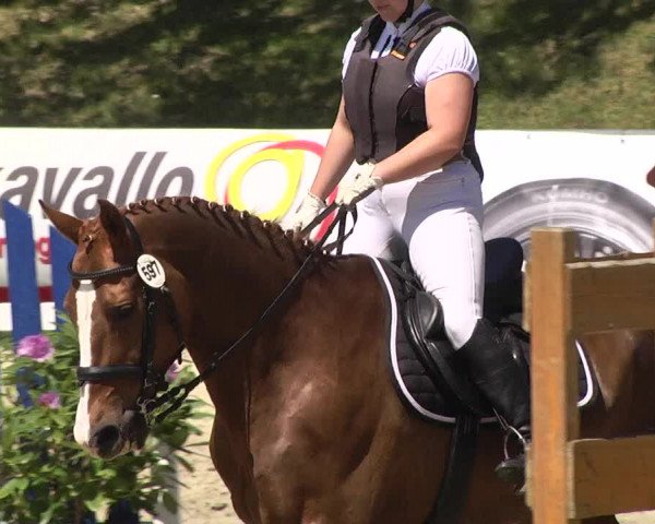 Reitturnier Kurtscheid 2017