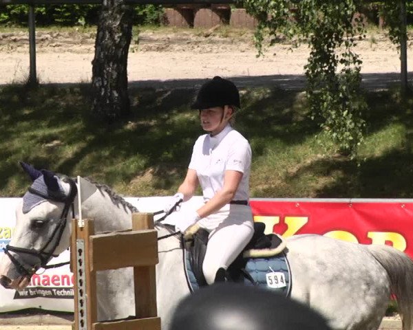 Reitturnier Kurtscheid 2017