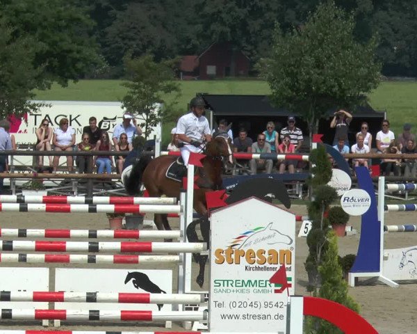 Reitturnier Kirchhellen/Stall Dieckmann 2017