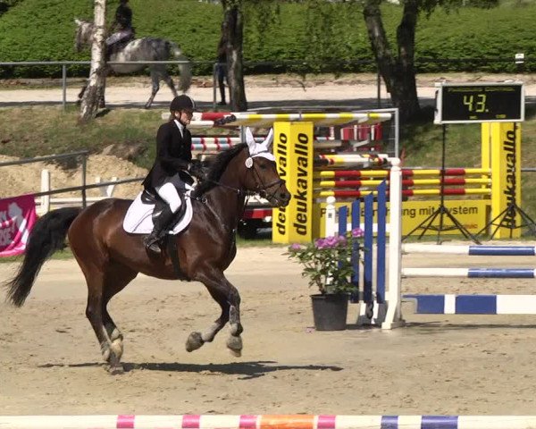 Reitturnier Kurtscheid 2017