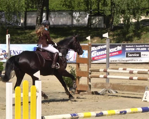 Reitturnier Kurtscheid 2017