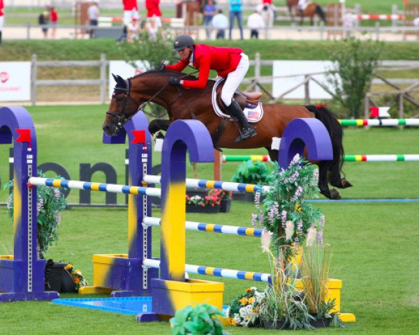 jumper Zerlin M (KWPN (Royal Dutch Sporthorse), 2004, from Berlin)