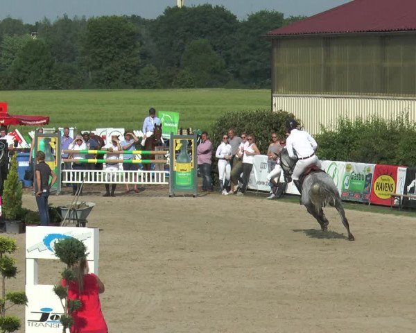 Reitturnier Kirchhellen/Stall Dieckmann 2017