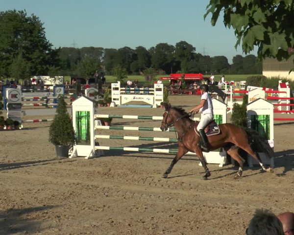 Reitturnier Kirchhellen/Stall Dieckmann 2017