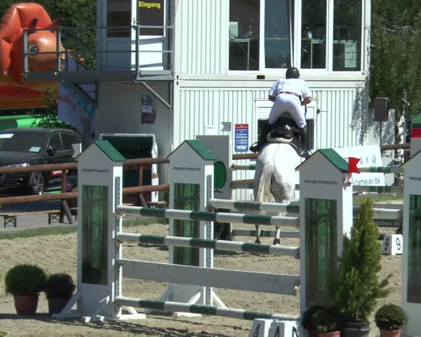 Reitturnier Kirchhellen/Stall Dieckmann 2017