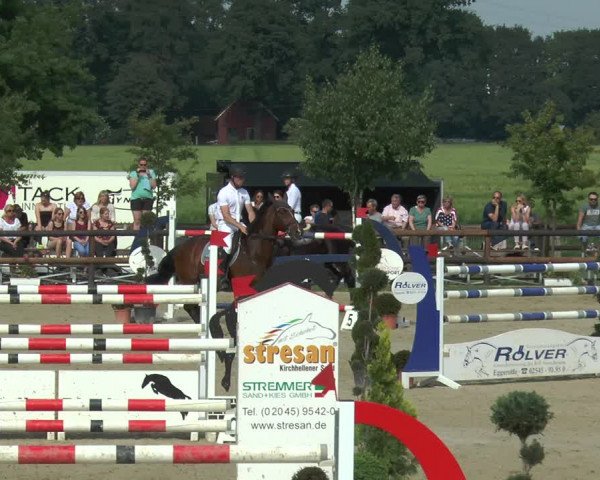 Reitturnier Kirchhellen/Stall Dieckmann 2017
