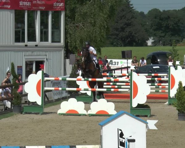 Reitturnier Kirchhellen/Stall Dieckmann 2017