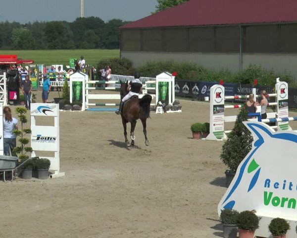 Reitturnier Kirchhellen/Stall Dieckmann 2017