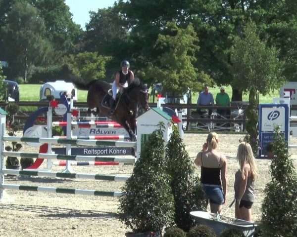 Reitturnier Kirchhellen/Stall Dieckmann 2017