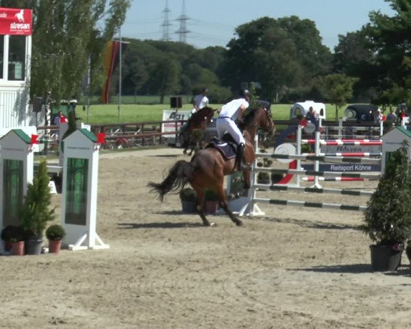 Reitturnier Kirchhellen/Stall Dieckmann 2017