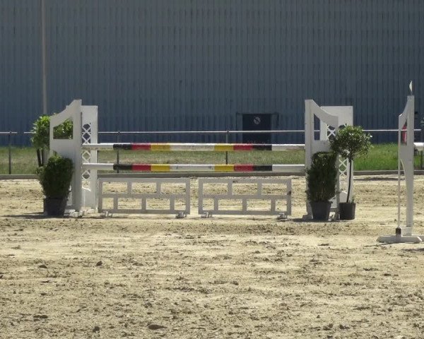 Reitturnier Ratingen-Lintorf 2017