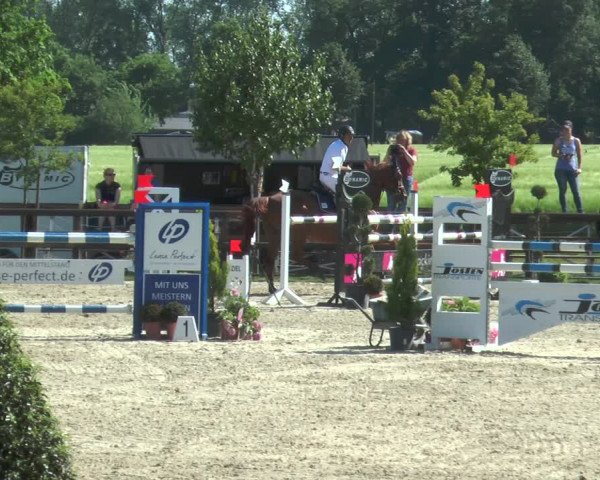 Reitturnier Kirchhellen/Stall Dieckmann 2017