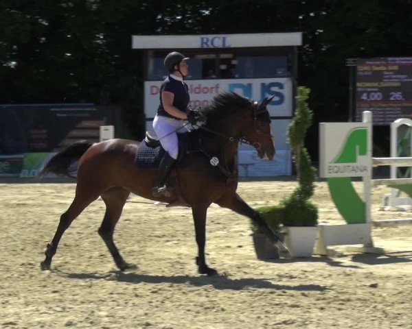 Reitturnier Ratingen-Lintorf 2017