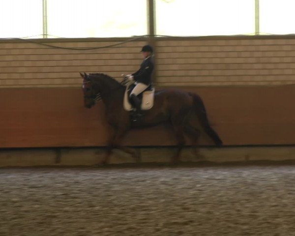 Reitturnier Hellefeld 2017
