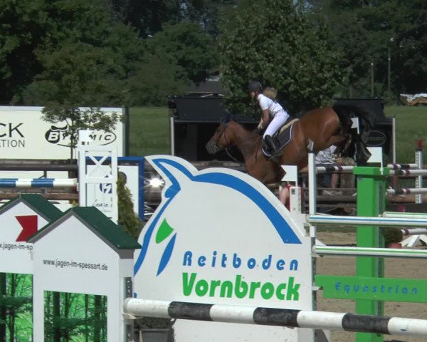 Reitturnier Kirchhellen/Stall Dieckmann 2017