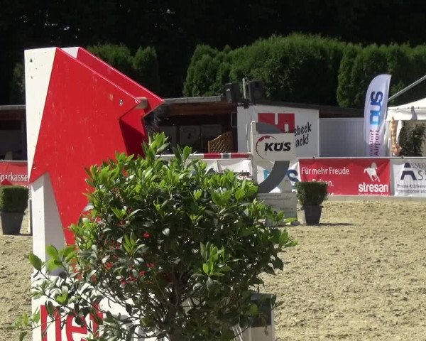 Reitturnier Ratingen-Lintorf 2017