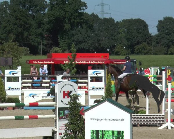 Reitturnier Kirchhellen/Stall Dieckmann 2017