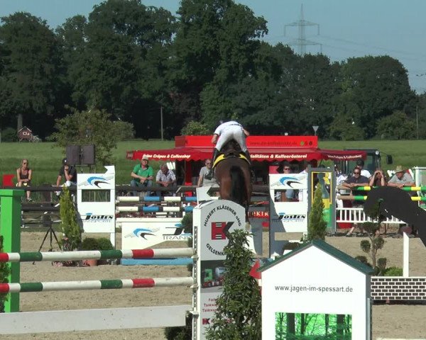 Reitturnier Kirchhellen/Stall Dieckmann 2017