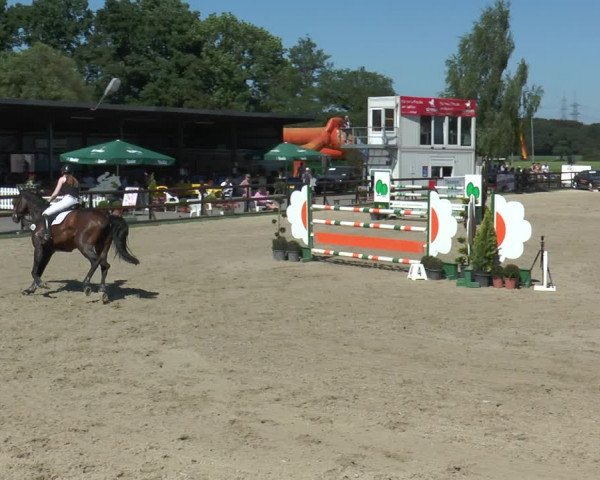 Reitturnier Kirchhellen/Stall Dieckmann 2017