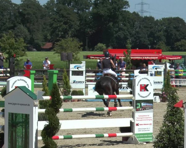 Reitturnier Kirchhellen/Stall Dieckmann 2017
