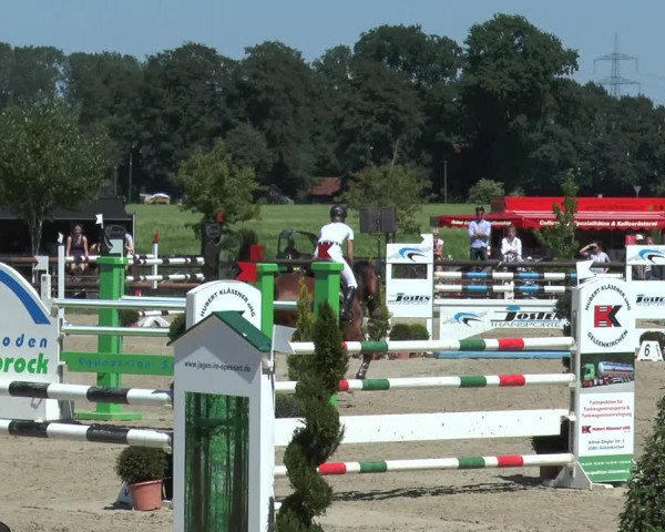 Reitturnier Kirchhellen/Stall Dieckmann 2017